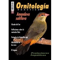 Ornitología Práctica 62