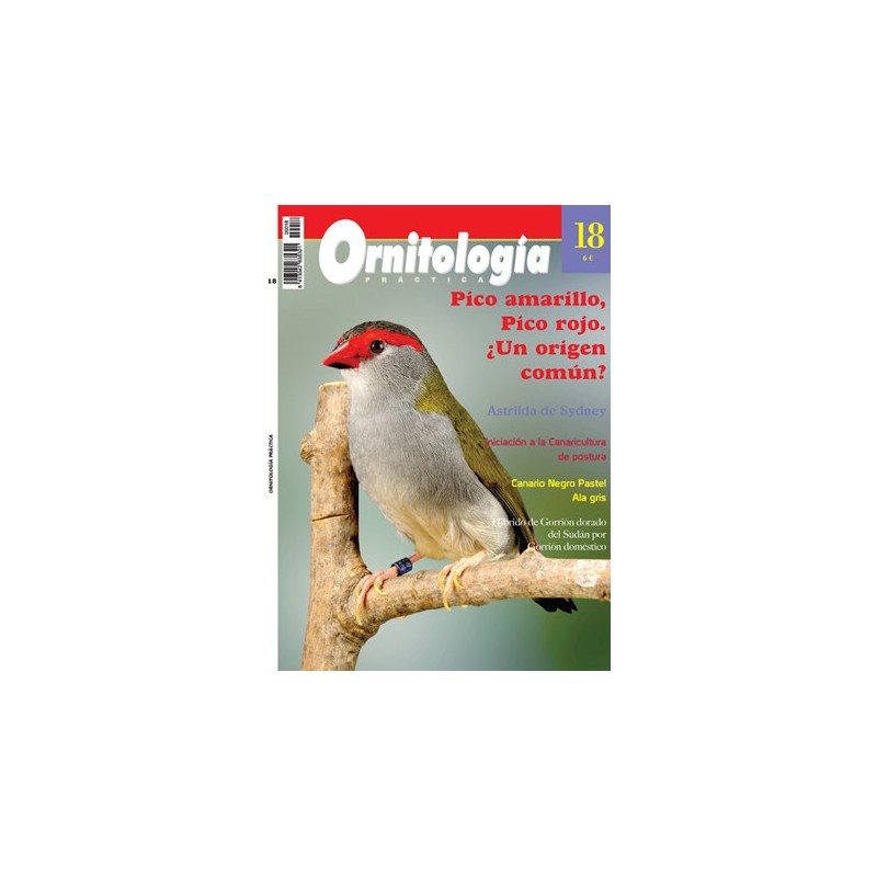 Ornitología Práctica 18
