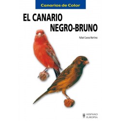 EL Canario Negro-Bruno