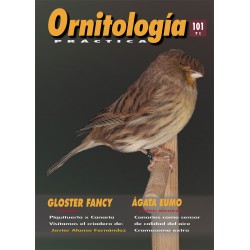 Ornitología Práctica 101