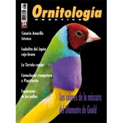 Ornitología Práctica 34