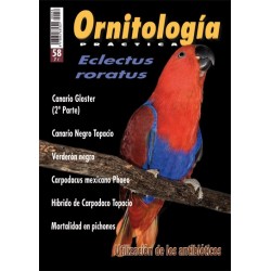 Ornitología Práctica 58