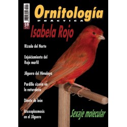 Ornitología Práctica 59